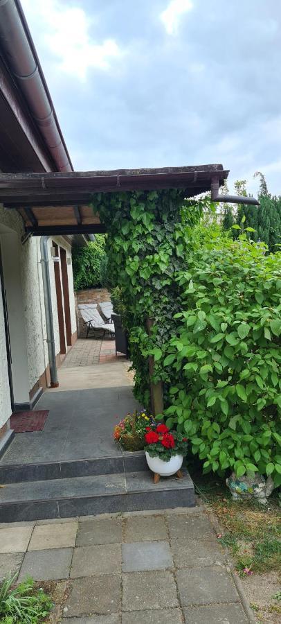 Ferienwohnung Hampel Altglietzen Экстерьер фото